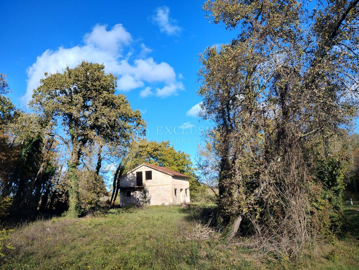 Hiša Barići, Višnjan, 81m2