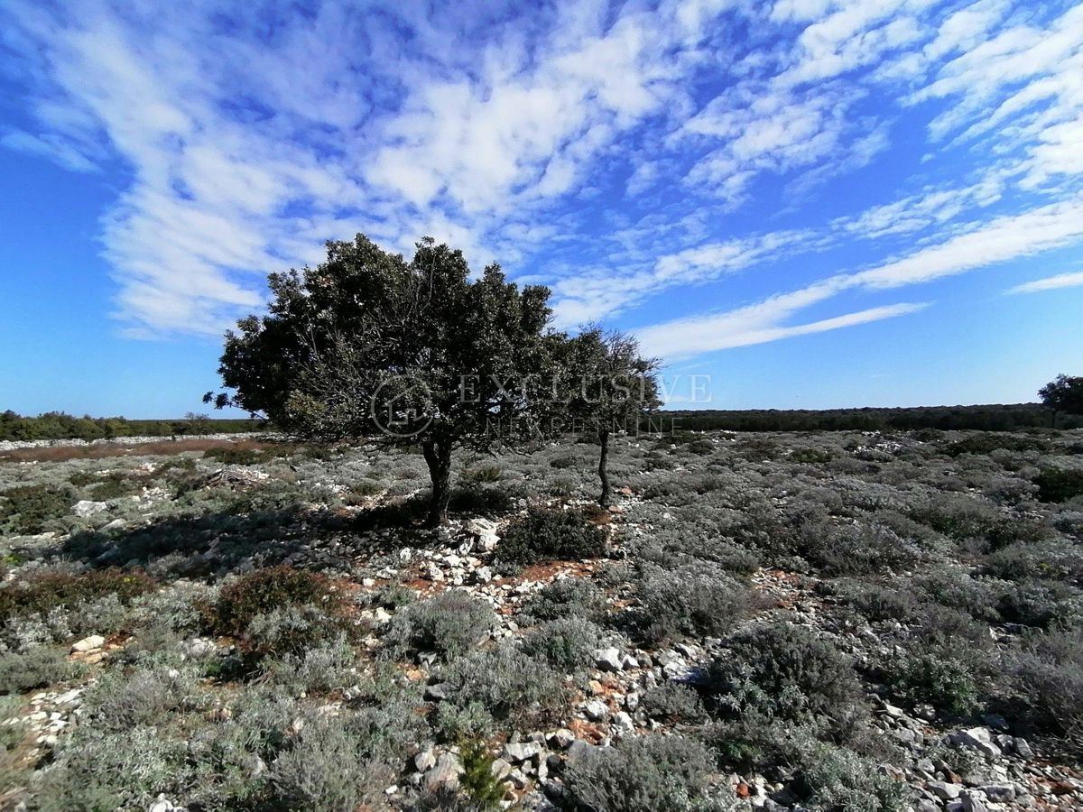 Zemljišče Osor, Mali Lošinj, 76.000m2