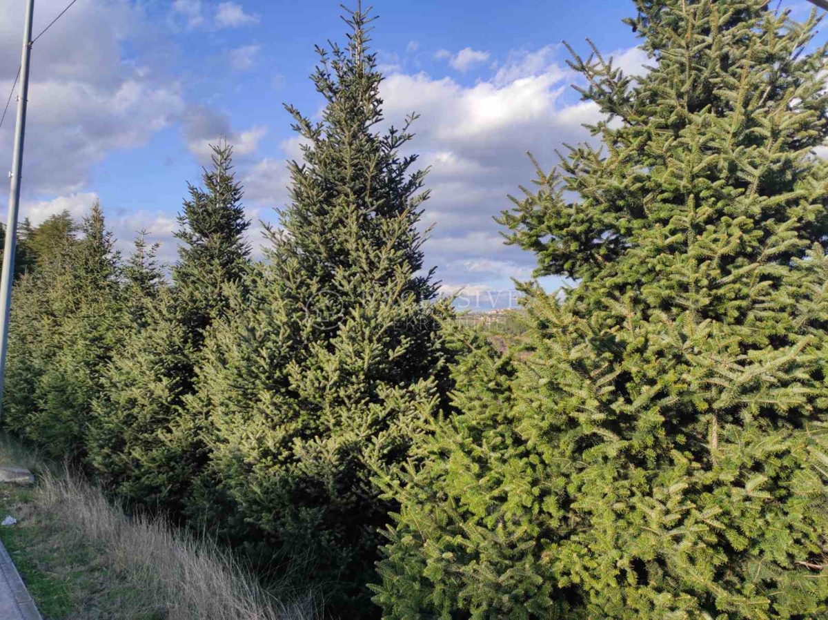 Zemljišče Karojba, 1.948m2