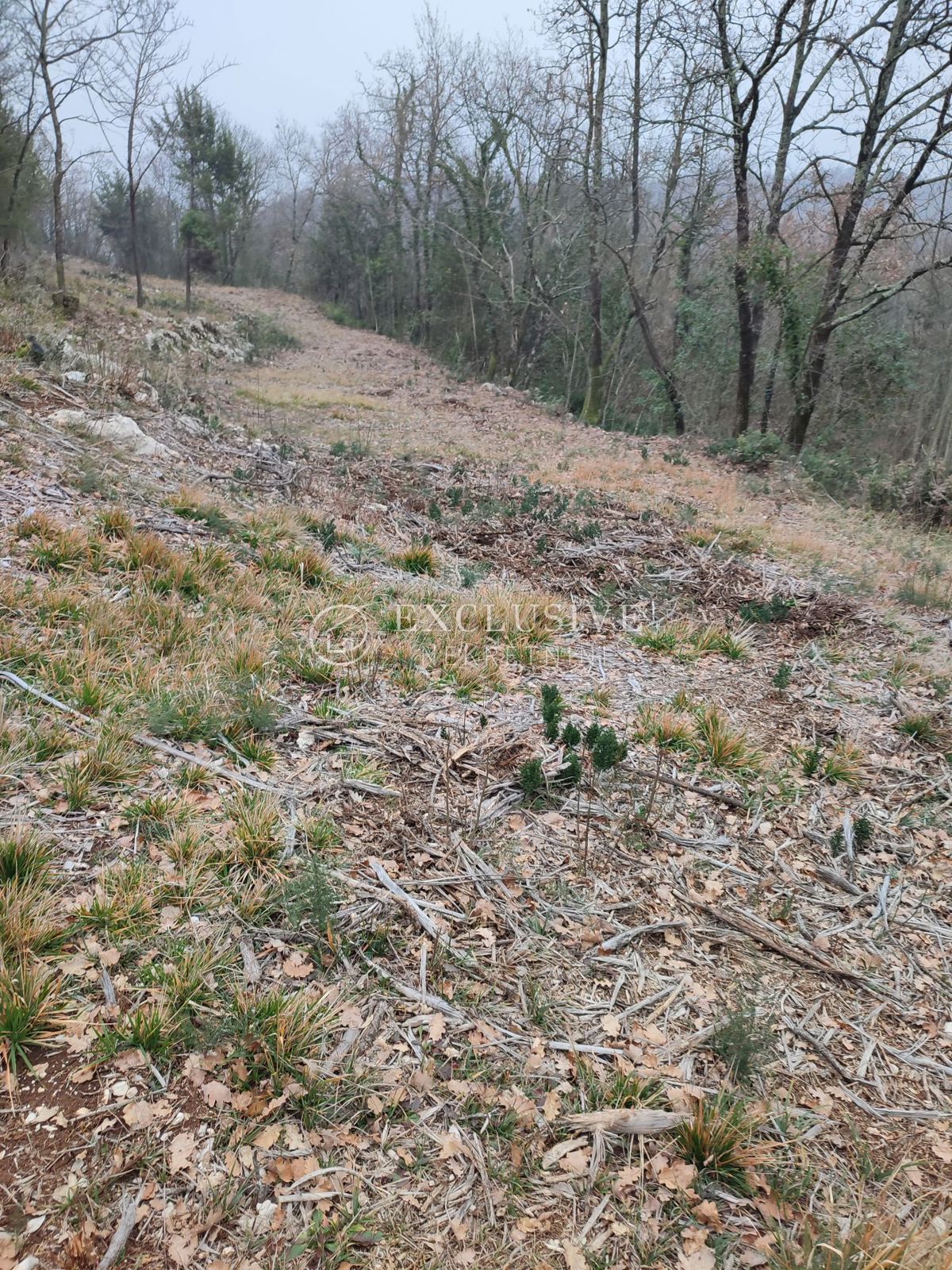 Zemljišče Brseč, Mošćenička Draga, 7.621m2