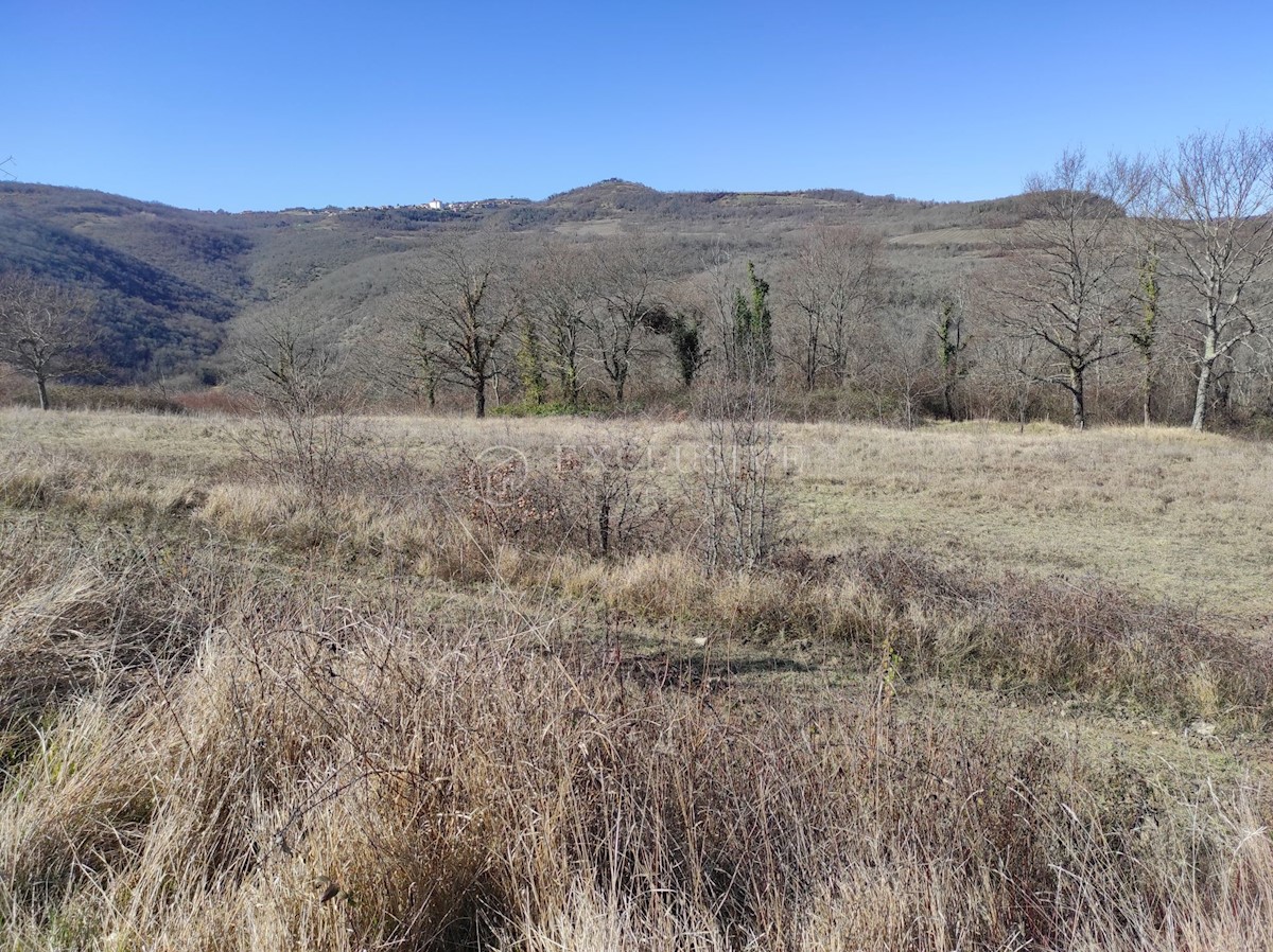 Zemljišče Brkač, Motovun, 5.373m2