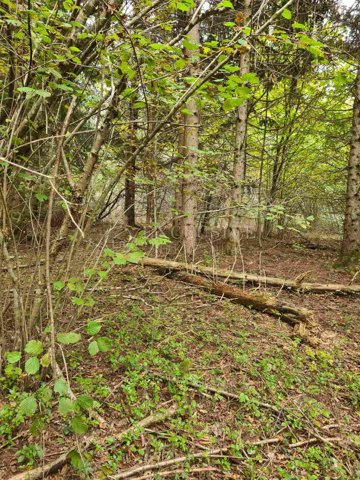 Zemljišče Bosiljevo, 1.517,79m2