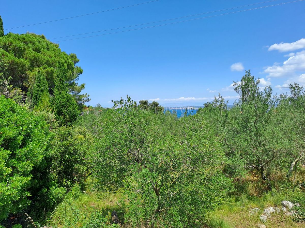 Zemljišče Ždrelac, Pašman, 3.035m2