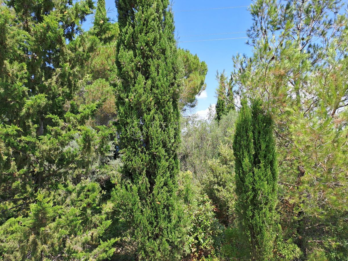 Zemljišče Ždrelac, Pašman, 3.035m2