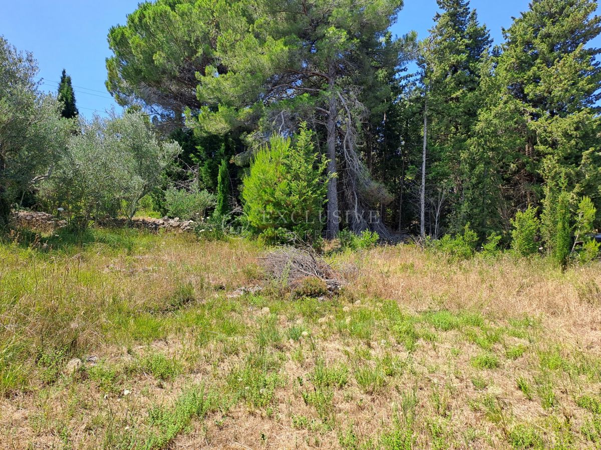 Zemljišče Ždrelac, Pašman, 3.035m2