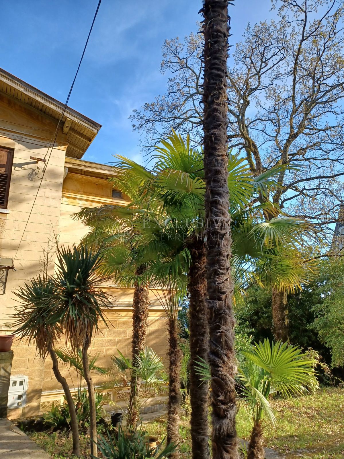 Hiša Opatija - Centar, Opatija, 300m2