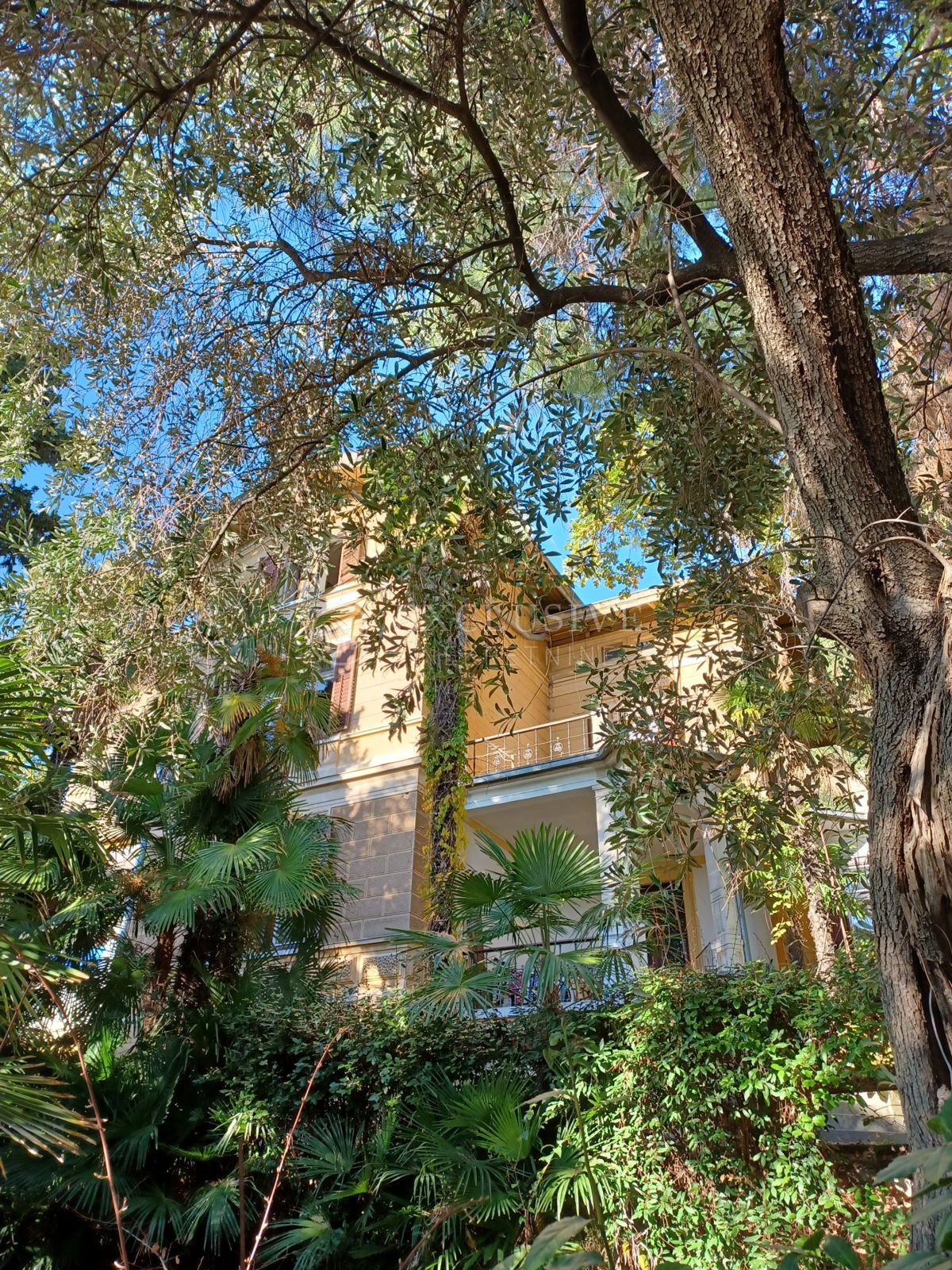 Hiša Opatija - Centar, Opatija, 300m2