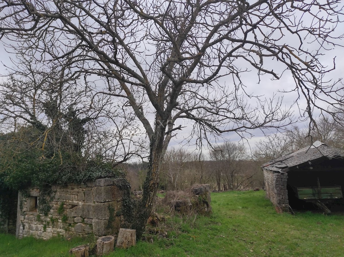 Hiša Zabrežani, Pazin - Okolica, 60m2