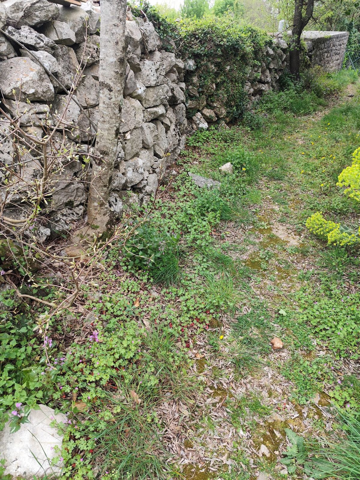 Zemljišče Krk, 741m2