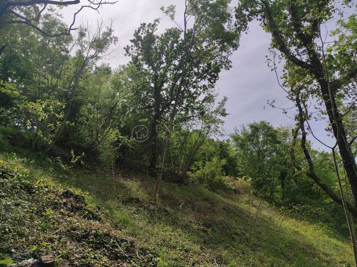 Zemljišče Marčenegla, Buzet, 930m2