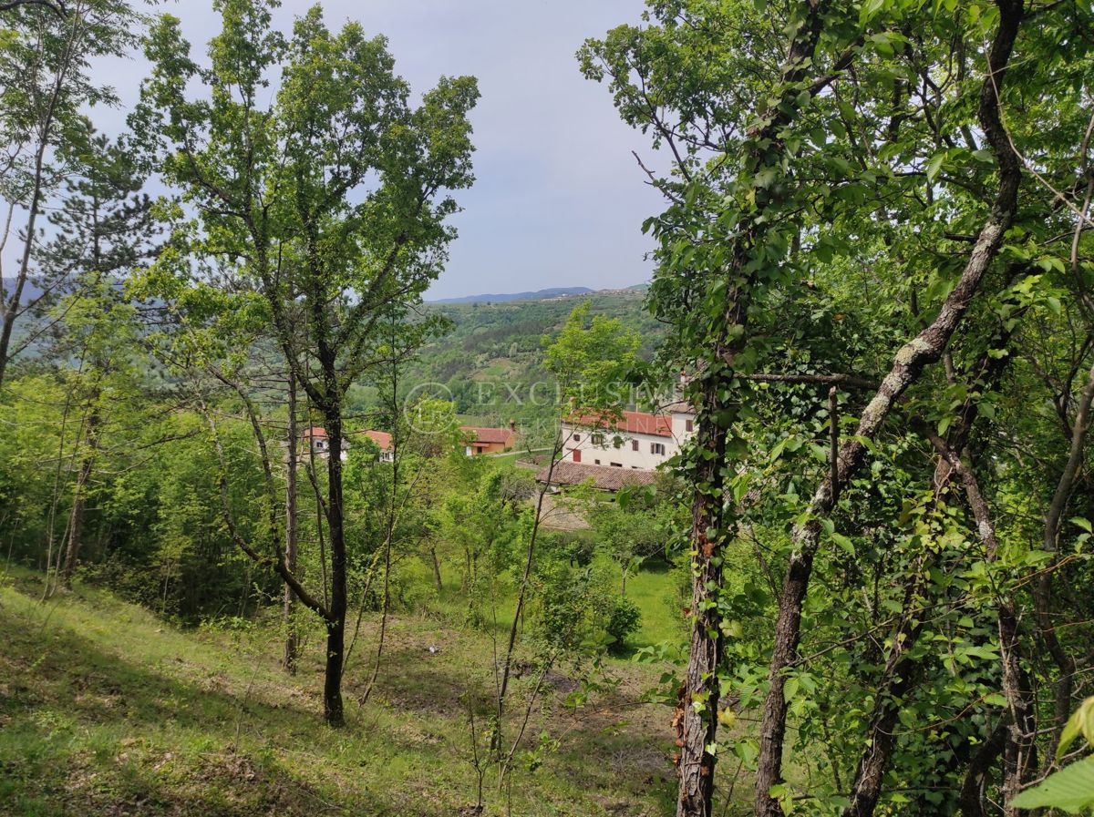Zemljišče Marčenegla, Buzet, 930m2