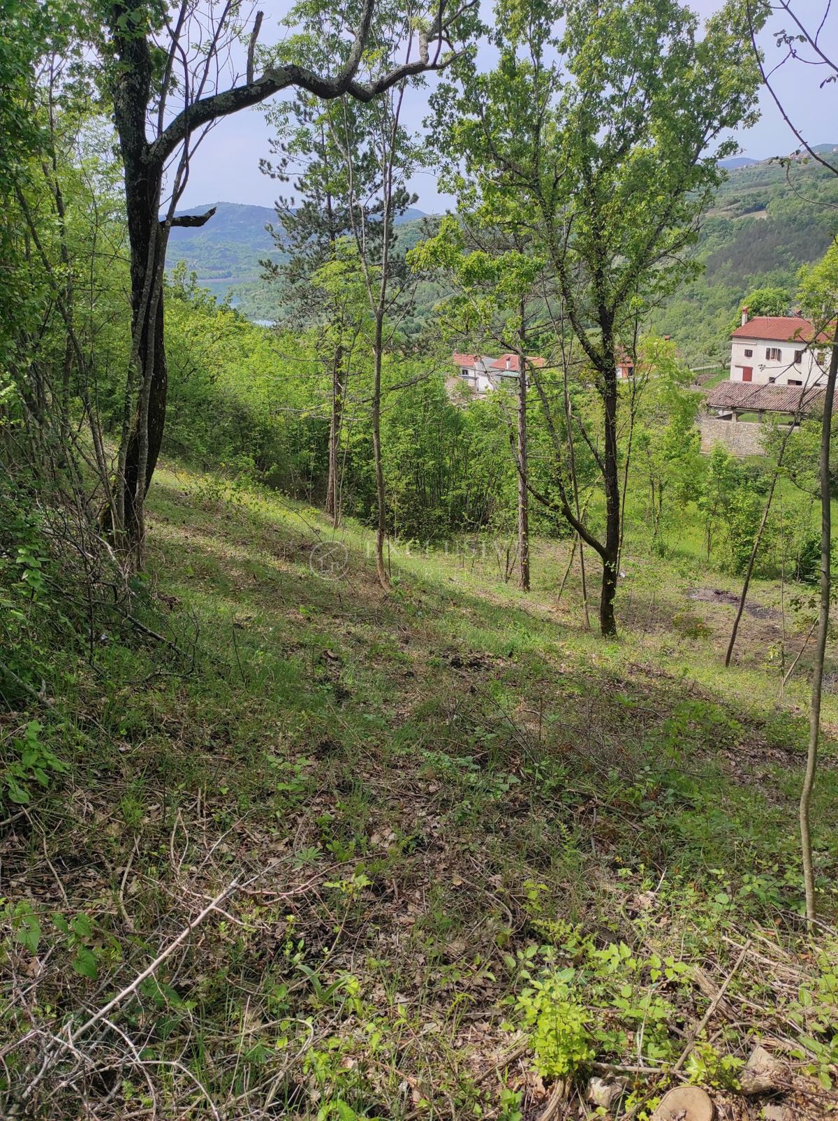 Zemljišče Marčenegla, Buzet, 930m2