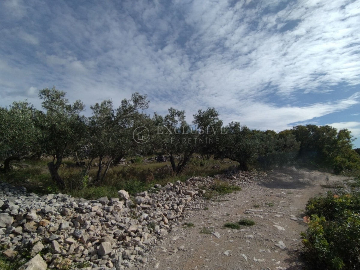 Zemljišče Punat, 2.989m2