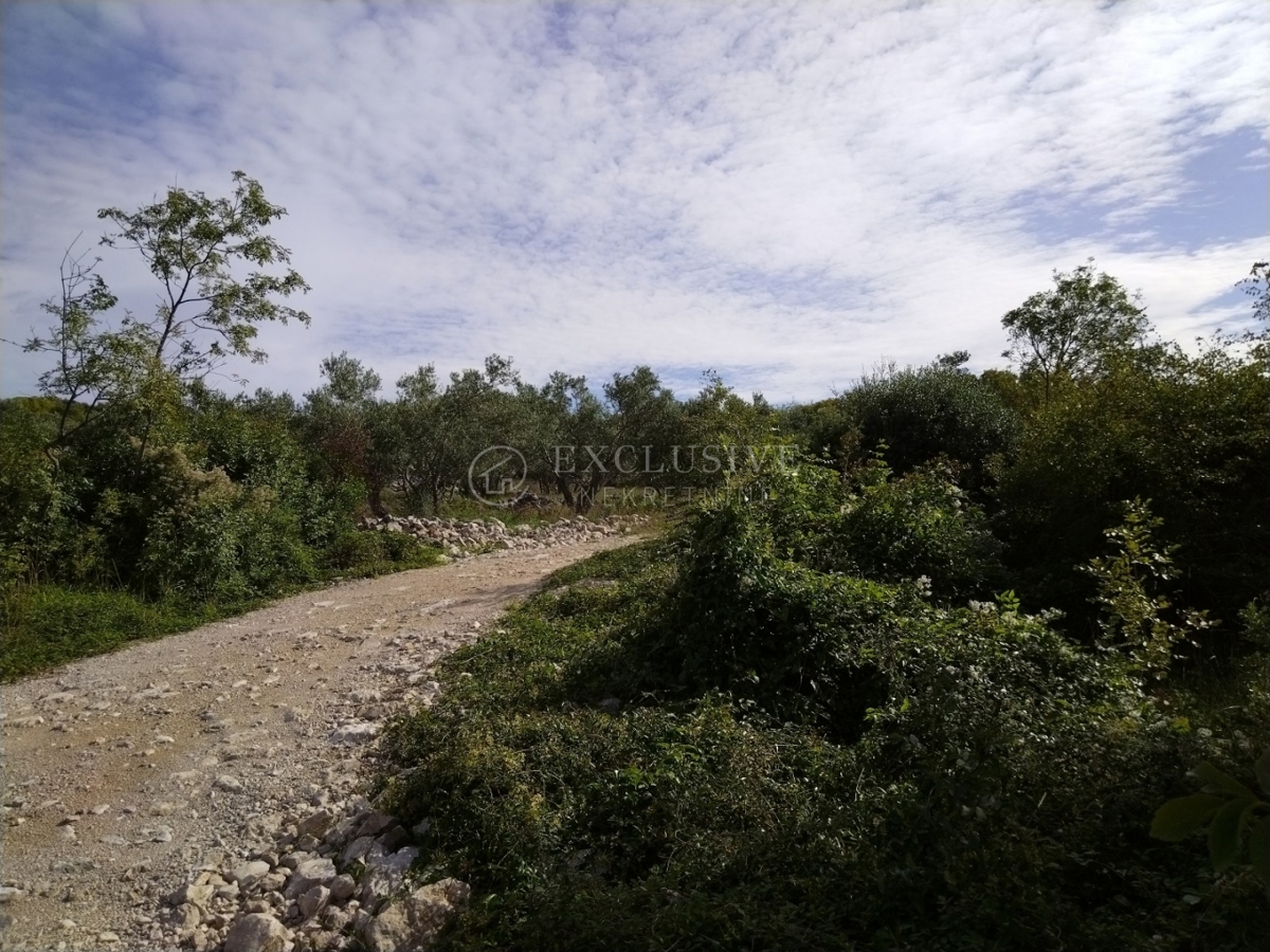 Zemljišče Punat, 2.989m2