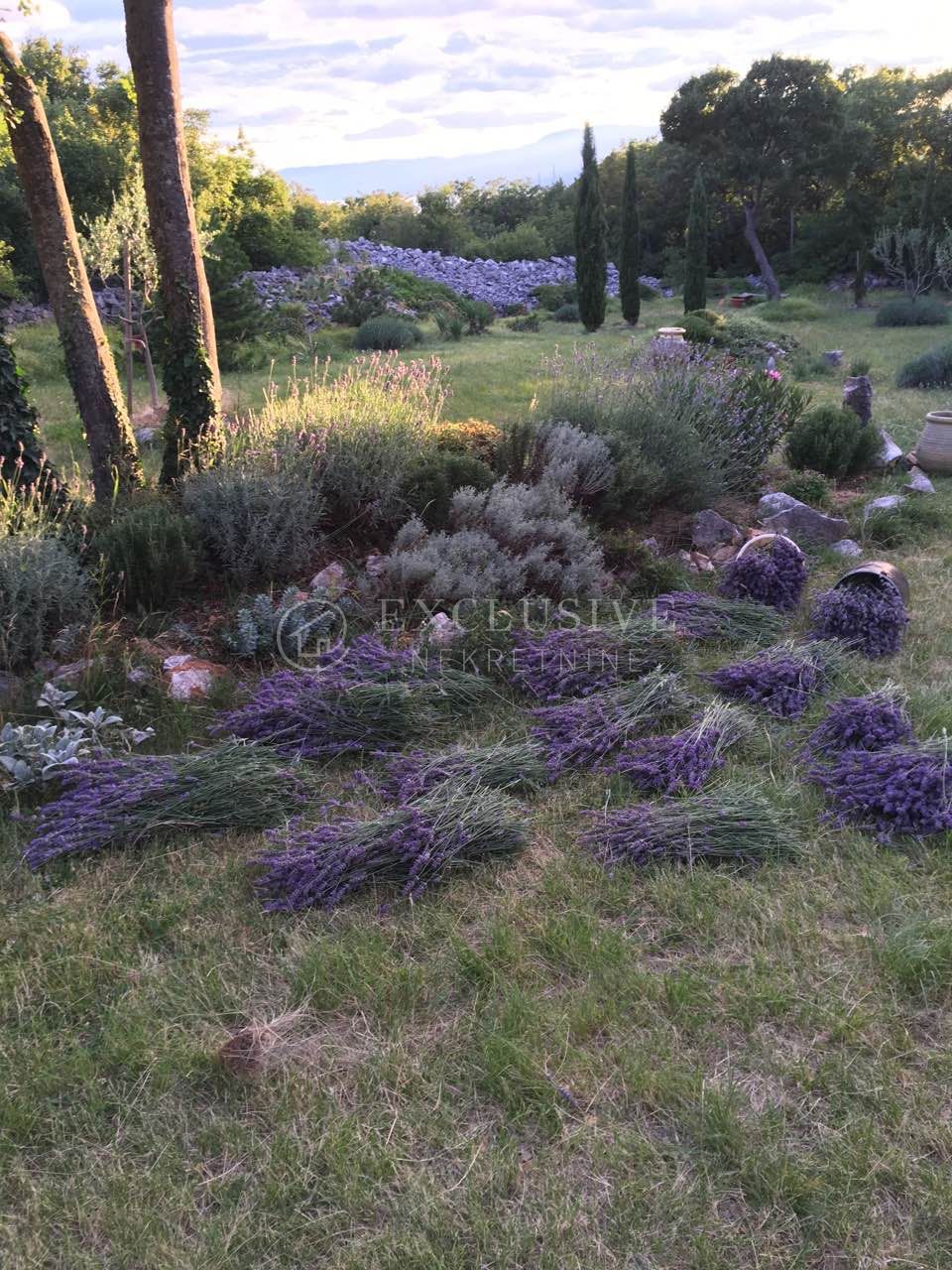 Hiša Hreljin, Bakar, 200m2