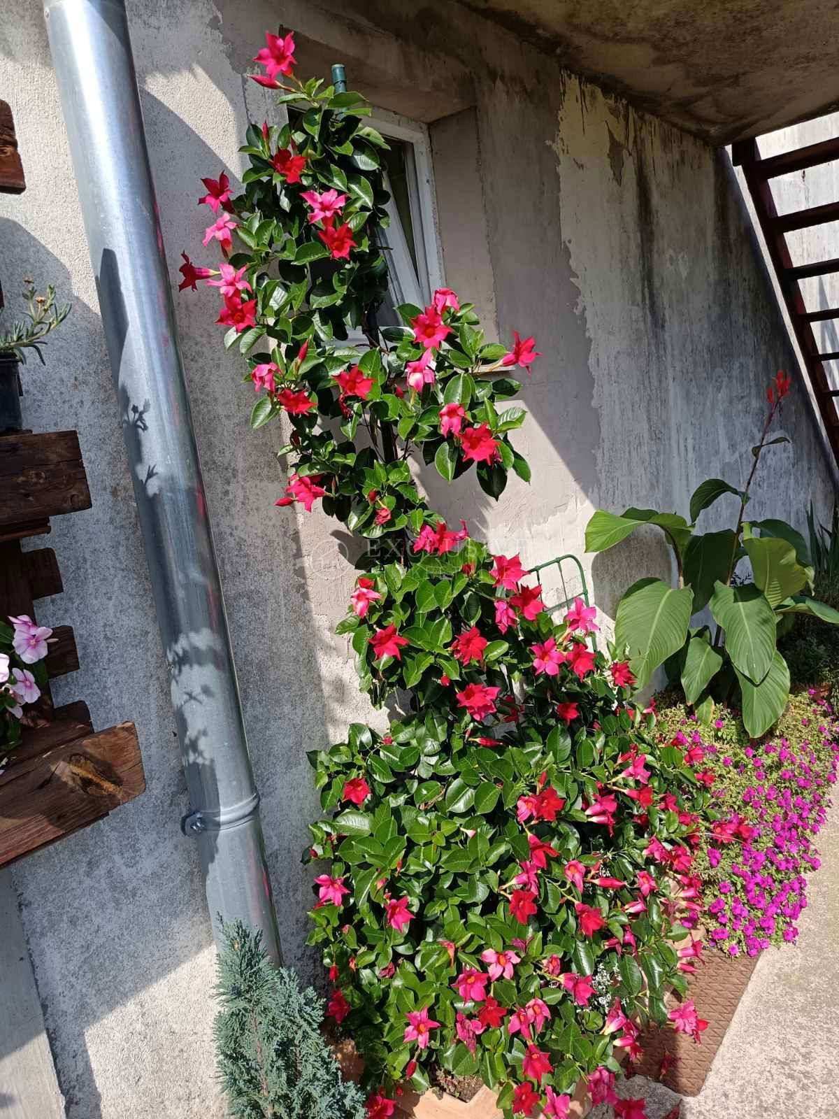 Hiša Jablan, Vrbovsko, 150m2