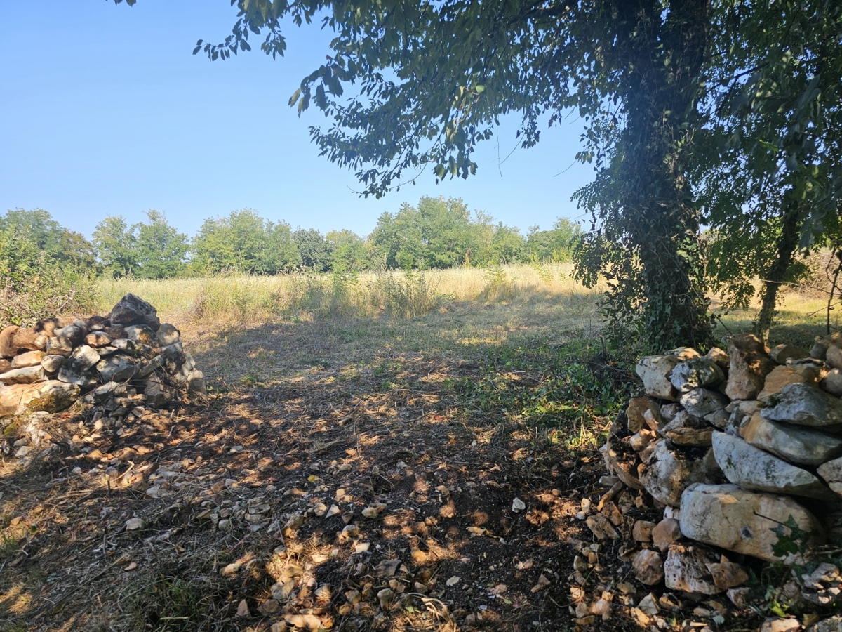 Zemljišče Tinjan, 898m2