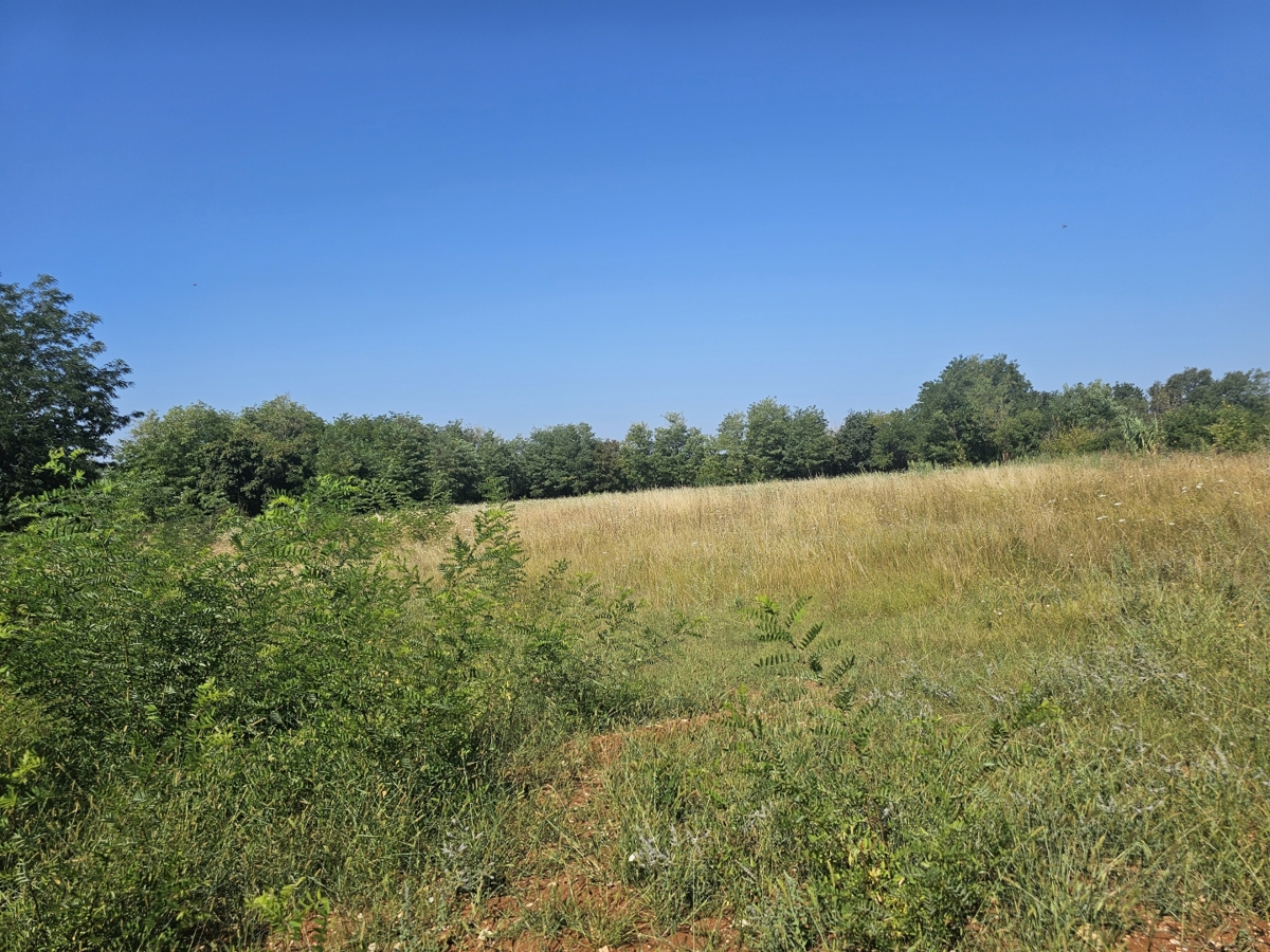 Zemljišče Tinjan, 898m2