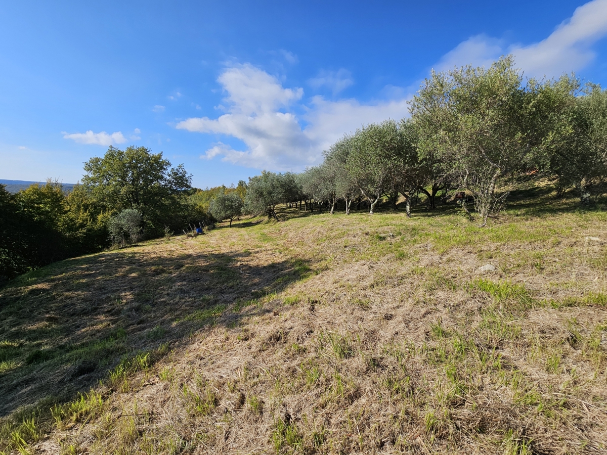 Buje - Gradbeno zemljišče s panoramskim razgledom