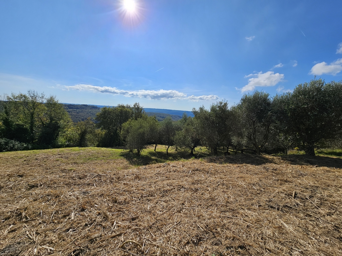 Buje - Gradbeno zemljišče s panoramskim razgledom