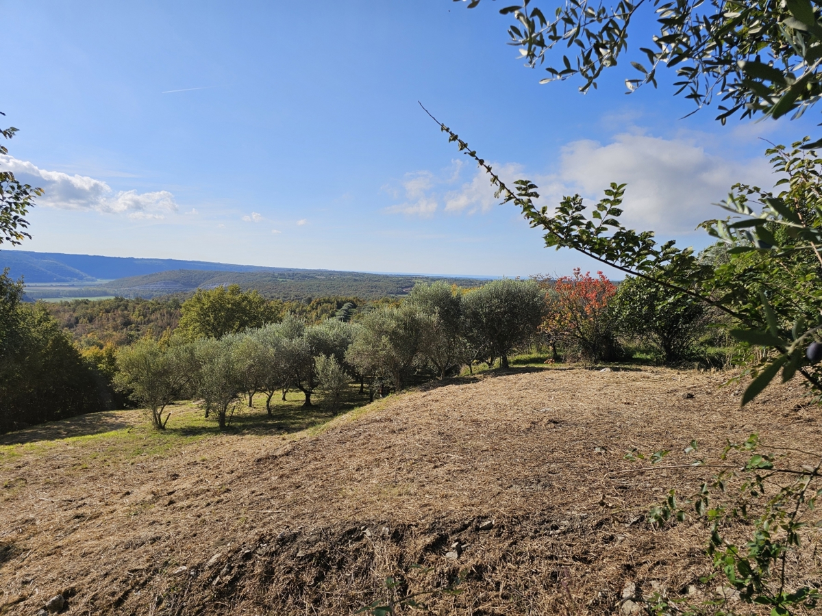 Buje - Gradbeno zemljišče s panoramskim razgledom