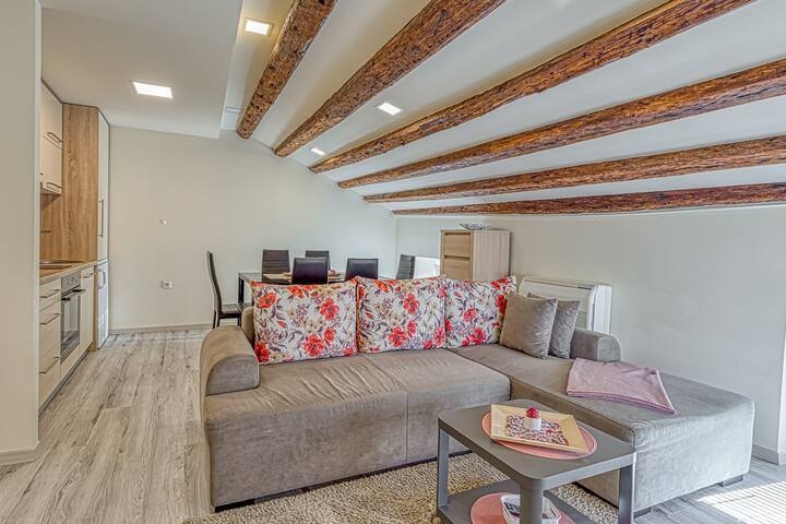 Apartma s teraso in pogledom na morje – prva vrsta do morja, Poreč