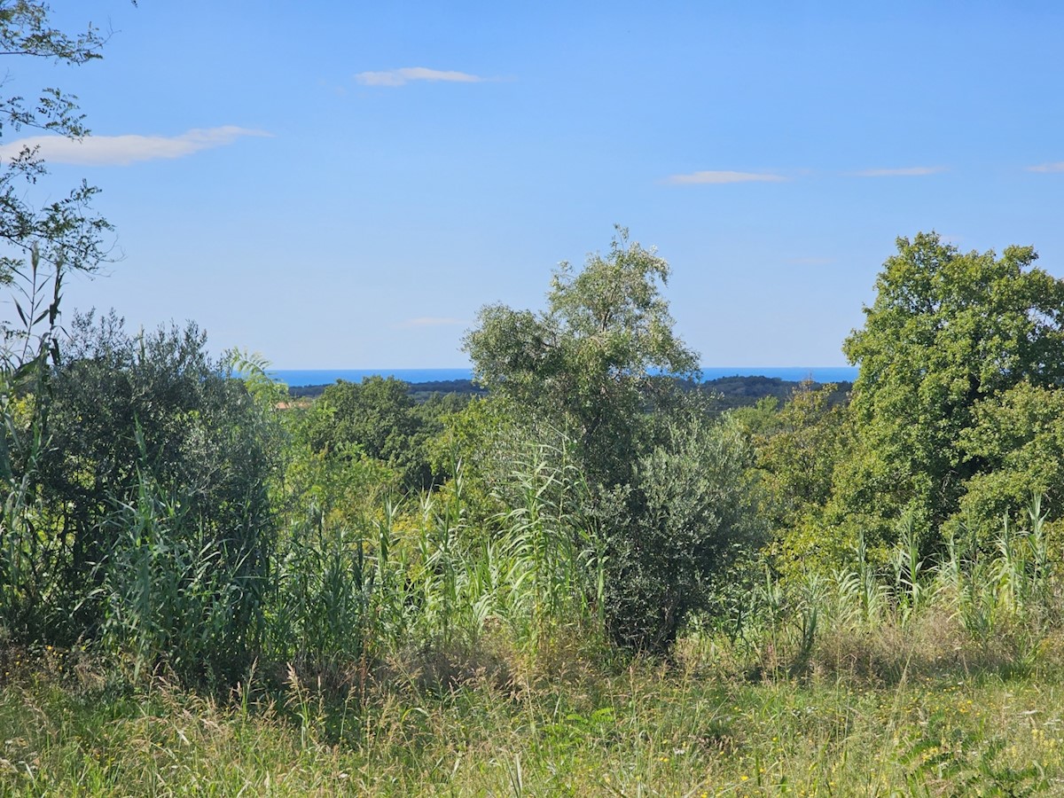 Zemljišče Brtonigla, 897m2