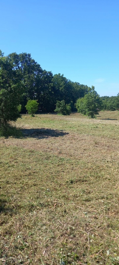 Poreč - investicijsko zemljišče 8.600 m2