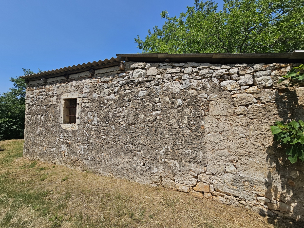 Višnjan - Nepremičnina + stavbno zemljišče + kmetijsko zemljišče