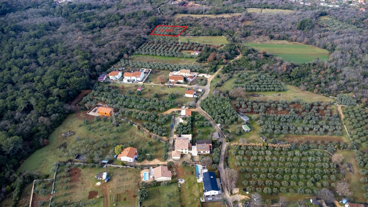 Zemljišče - oljčni nasad