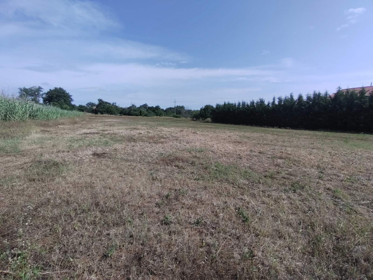 Gradbeno zemljišče za 5 stanovanj ali polpritlično hišo - naprodaj