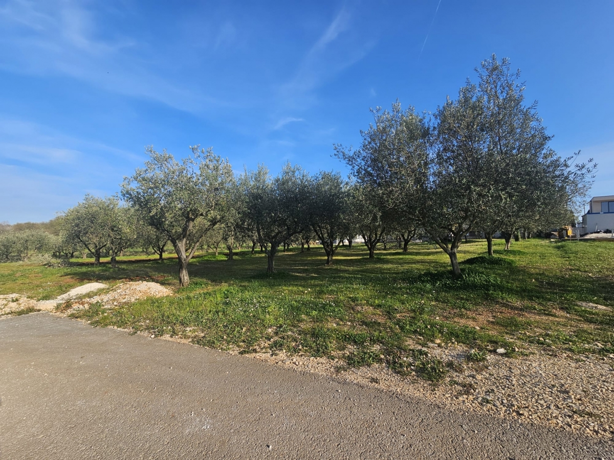 Poreč - 1000 m2 gradbenega zemljišča