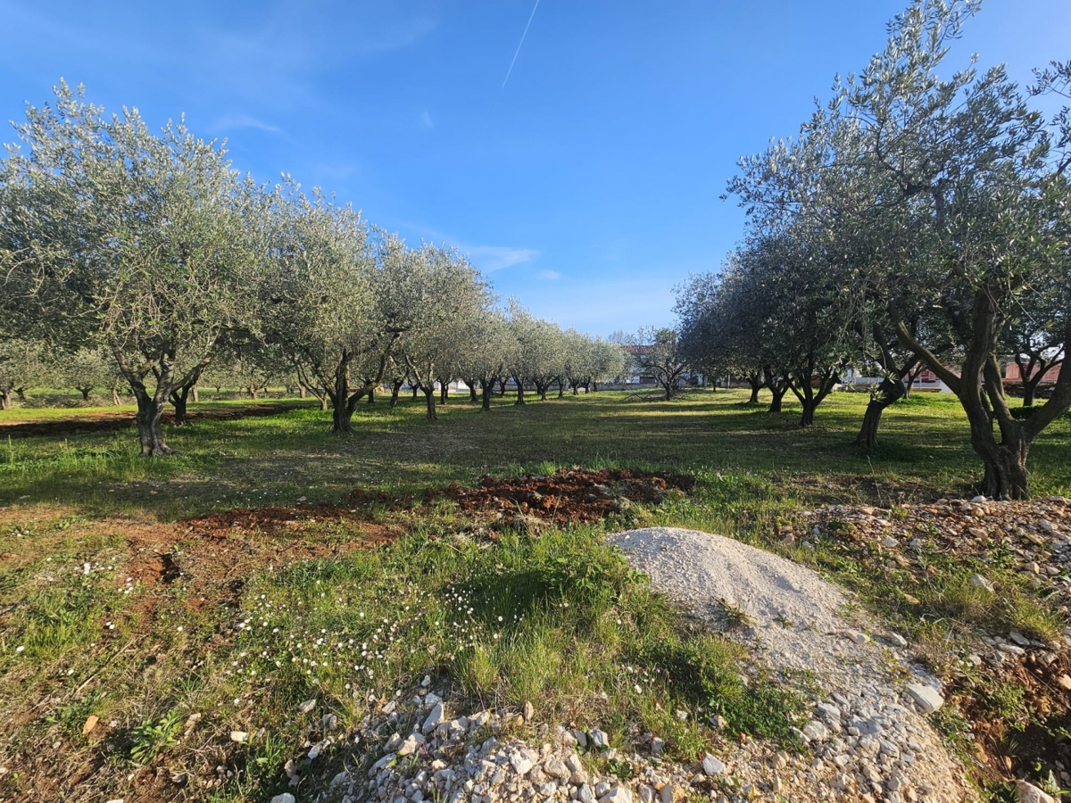 Poreč - 1000 m2 gradbenega zemljišča