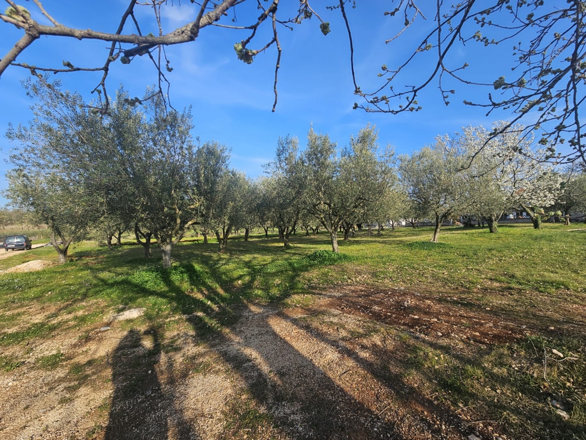 Poreč - 1000 m2 gradbenega zemljišča