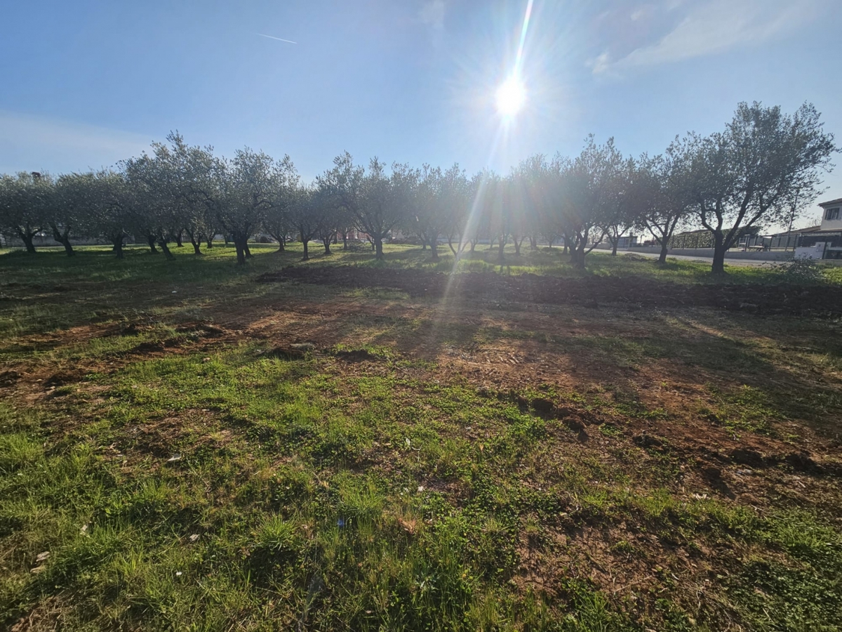 Poreč - 1000 m2 gradbenega zemljišča