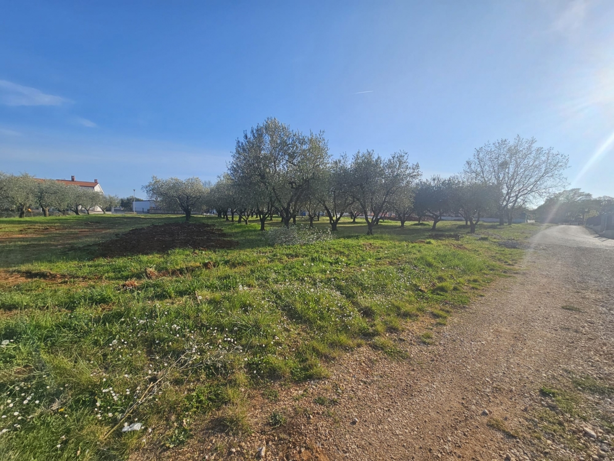 Poreč - 1000 m2 gradbenega zemljišča