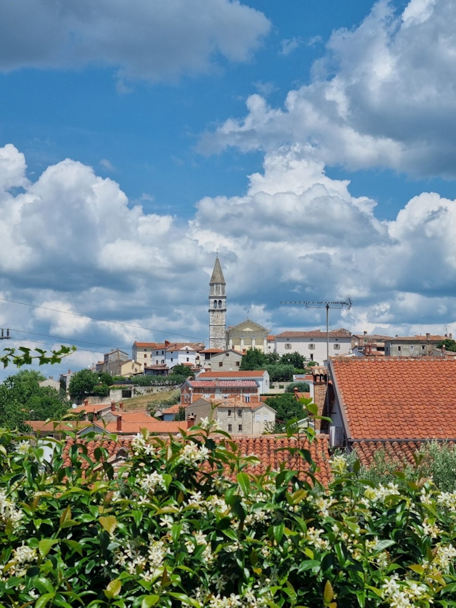 Višnjan, čudovita hiša z bazenom in zunanjim žarom!