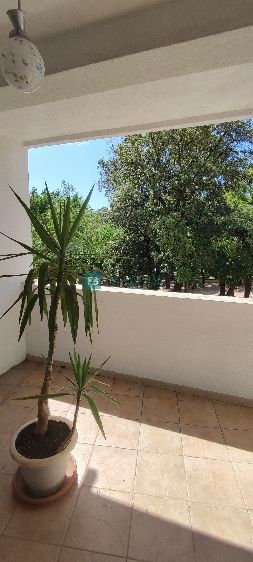 VODICE, center, 1. nad., loggia, pogled na park, 2sob