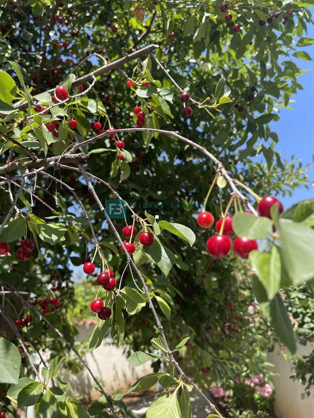 VODICE - lepa družinska hiša z bazenom in prostornim vrtom, mirna lokacija, garaža