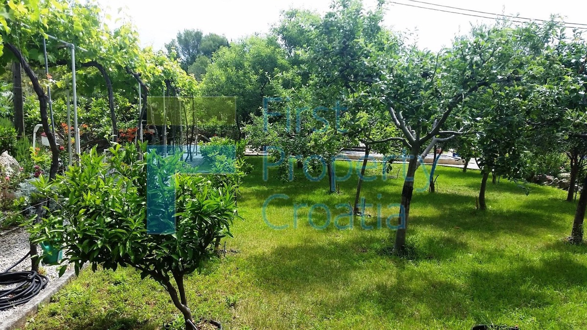 BR1074 - Kuća u blizini mora na vrlo velikoj parceli, Brač, na prodaju