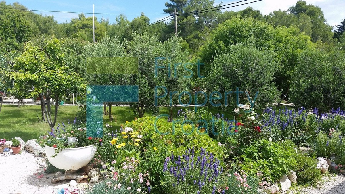 BR1074 - Kuća u blizini mora na vrlo velikoj parceli, Brač, na prodaju