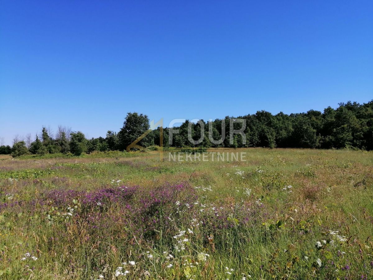 Zemljišče Sveti Lovreč, 21.460m2