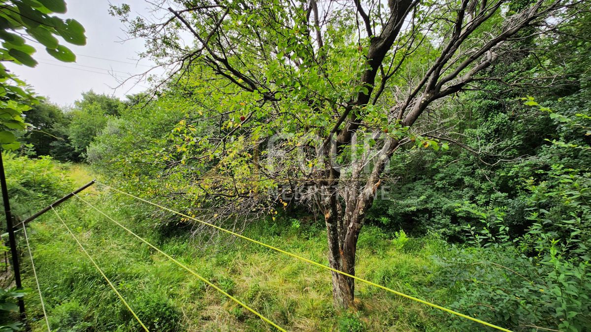 Hiša Grižane-Belgrad, Vinodolska Općina, 290m2