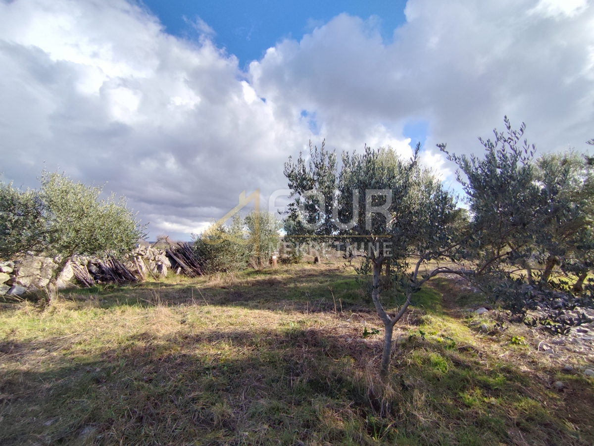 Zemljišče Porat, Malinska-Dubašnica, 3.464m2