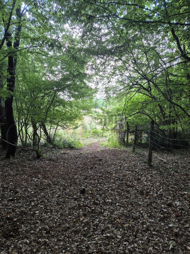 Zemljišče Kaštelir, Kaštelir-Labinci, 24.118m2