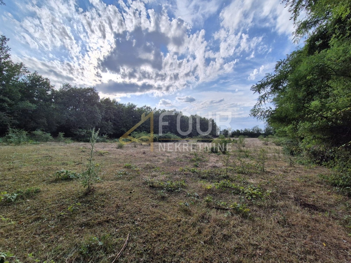 Zemljišče Kaštelir, Kaštelir-Labinci, 24.118m2