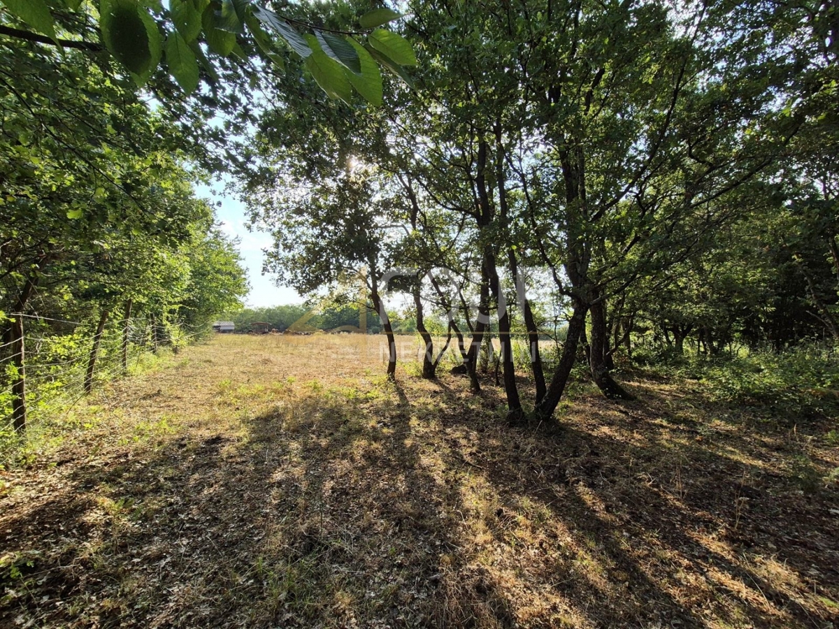 Zemljišče Kaštelir, Kaštelir-Labinci, 24.118m2