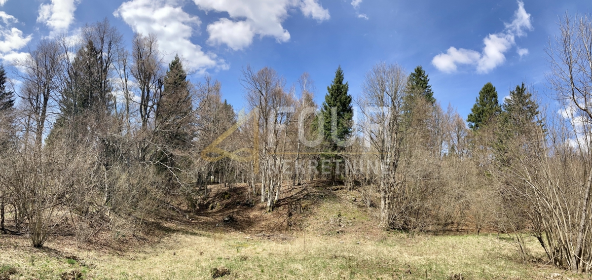 Zemljišče Crni Lug, Delnice, 2.005m2