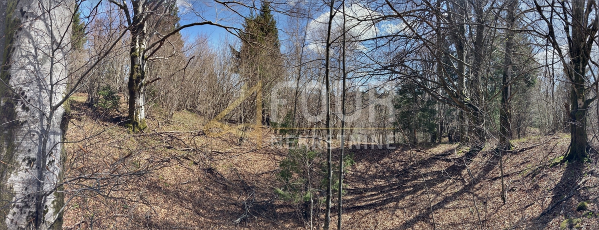 Zemljišče Crni Lug, Delnice, 2.005m2