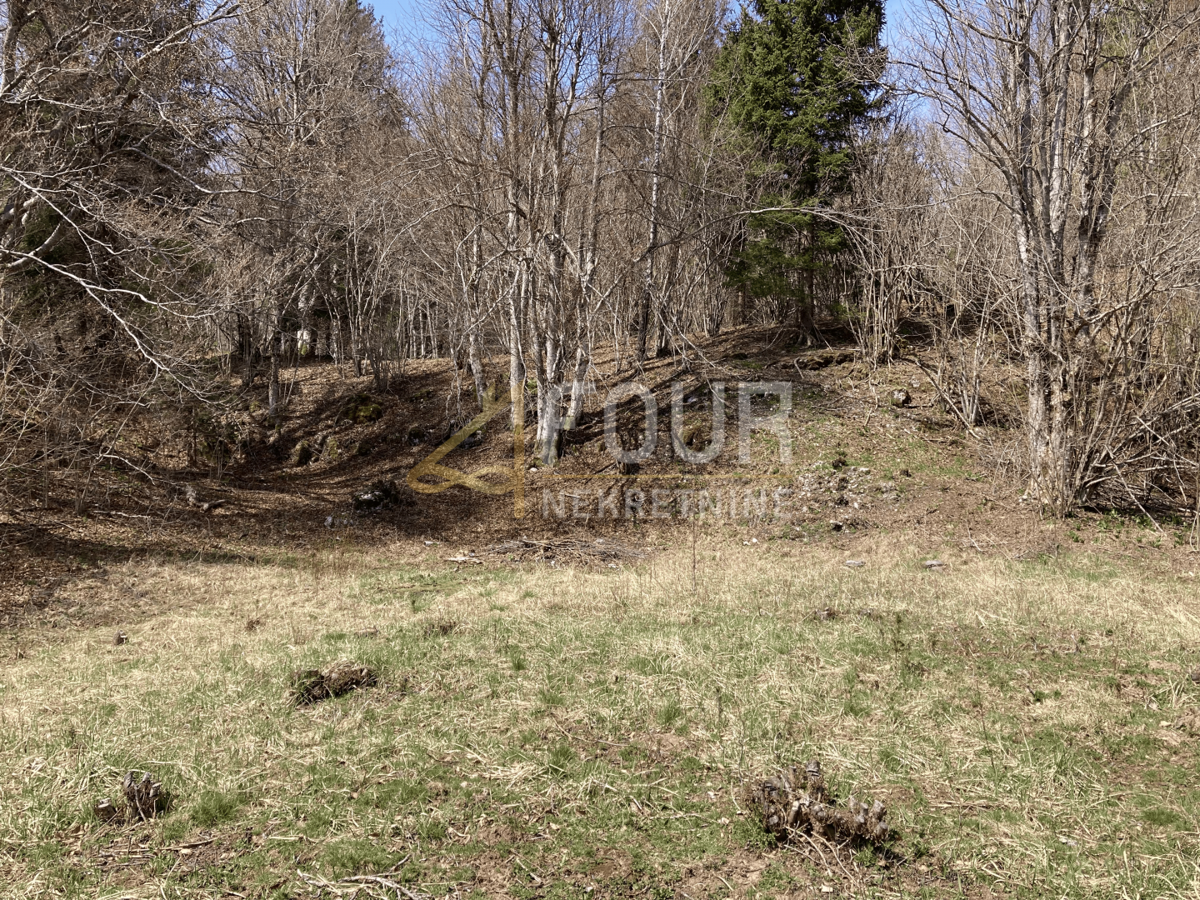 Zemljišče Crni Lug, Delnice, 2.005m2